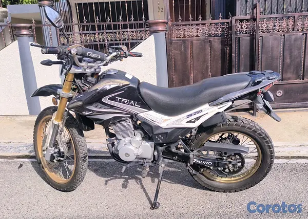 motores y pasolas - Motor Tauro  3