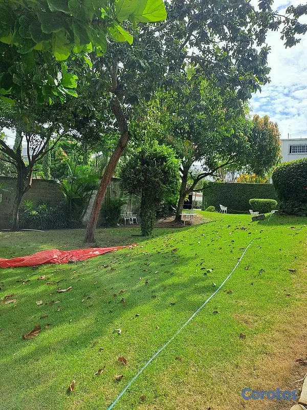 casas - 🔵Alquilo Casa  para oficina 2 niveles en arroyo ho 10