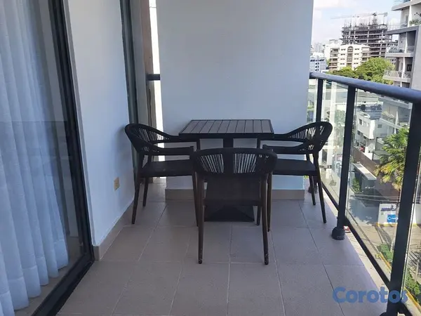 apartamentos - Apartamento en Alquiler en Piantini Amueblado de T 9