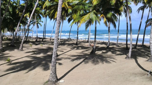 casas - Villa ( casa) en  la playa en nagua. República Dominicana.titulo.