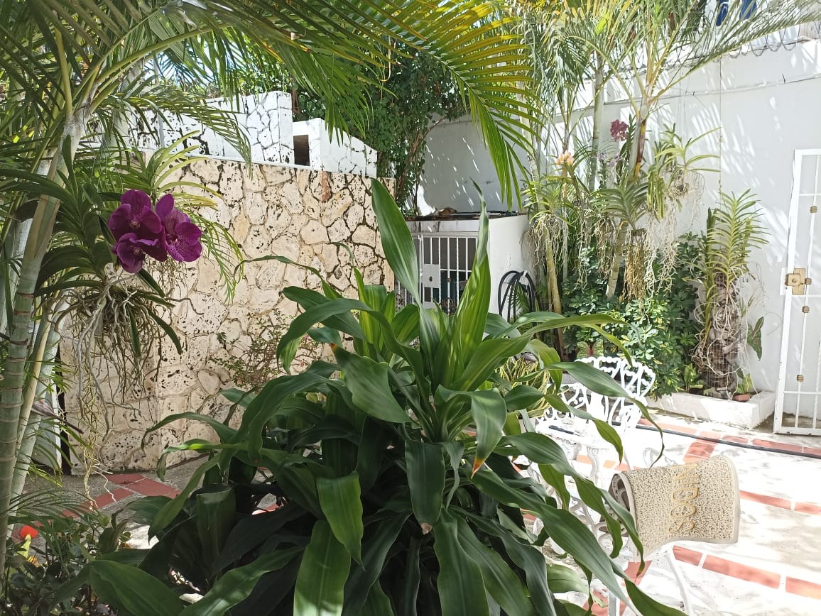 casas - Urbanización tropical, km 7 de la independencia. 

Hermosa casa con patio grande 9
