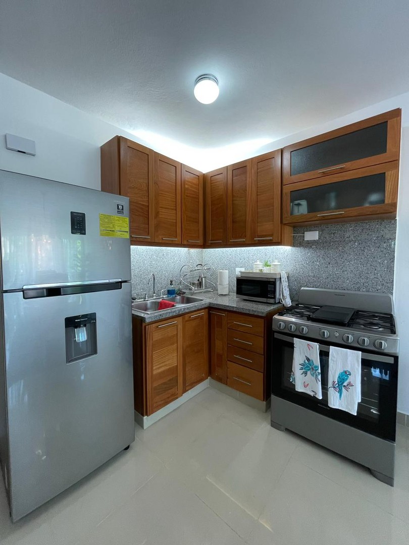 apartamentos - Segundo Piso amueblado, Santiago 4