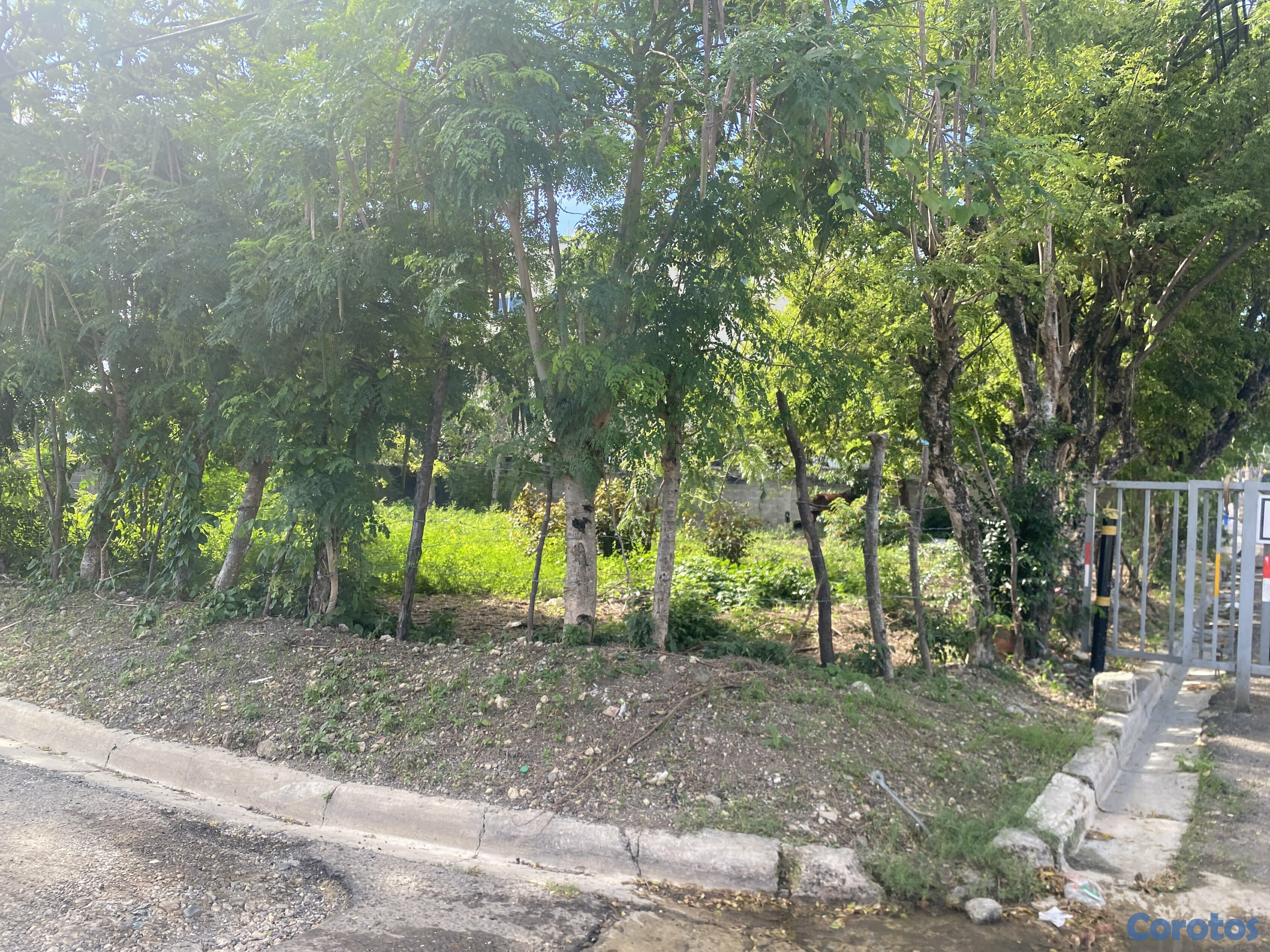 solares y terrenos - solar próximo al malecón de puerto plata  4