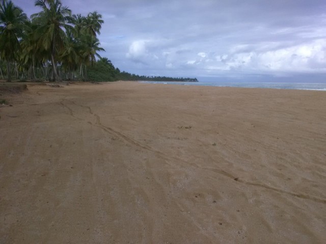 solares y terrenos - Se vende solar con frente de playa en el limón Samaná.