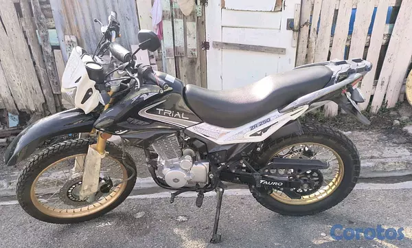 motores y pasolas - Motor Tauro  4