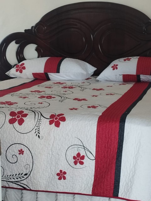 apartamentos - Alquilo apartamento amueblado en Bella Vista  3