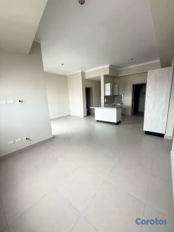 apartamentos - ALQUILO APARTAMENTO EN EVARISTO MORALES 2