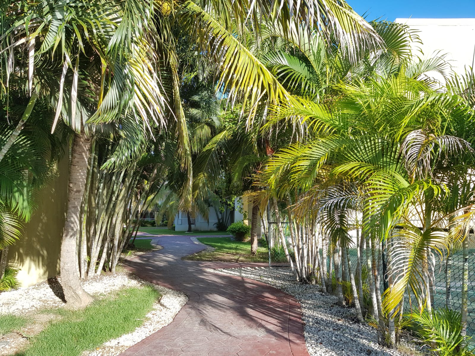apartamentos - Precio de Oportunidad para Vender!!! 7