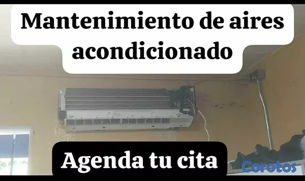 servicios profesionales - SamuelserviceRD 4