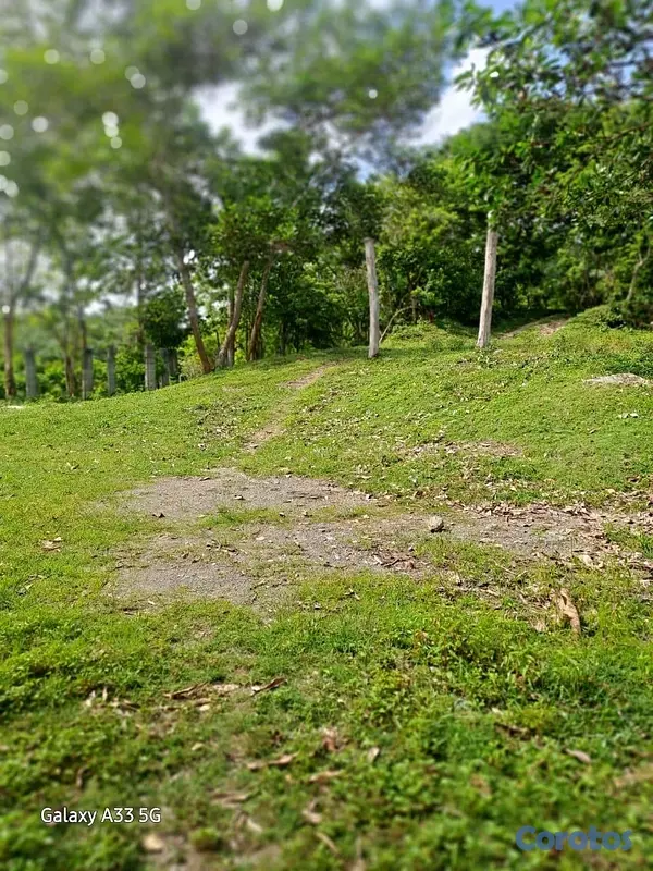 solares y terrenos - Vendo Finca en Yamasa, Monteplata 10