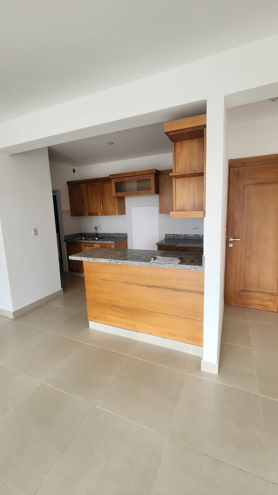 apartamentos - APARTAMENTO EN VENTA EN SANTIAGO. 3
