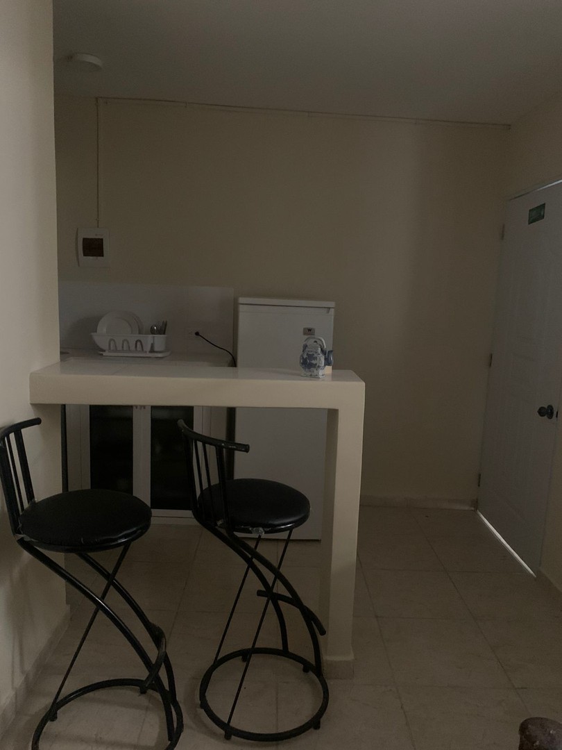 apartamentos - Apartamento Amueblado de 1 Habitación, Zona Colonial 2