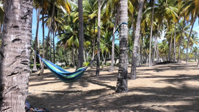 casas - Villa ( casa) en  la playa en nagua. República Dominicana.titulo. 3