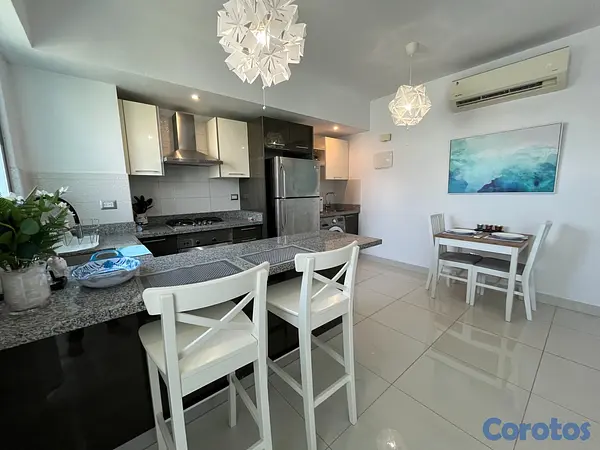 apartamentos - Apartamento en Alquiler en Piantini Amueblado de U 6