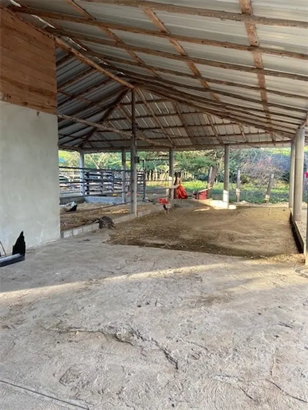 solares y terrenos - Finca de venta en Mamey 10