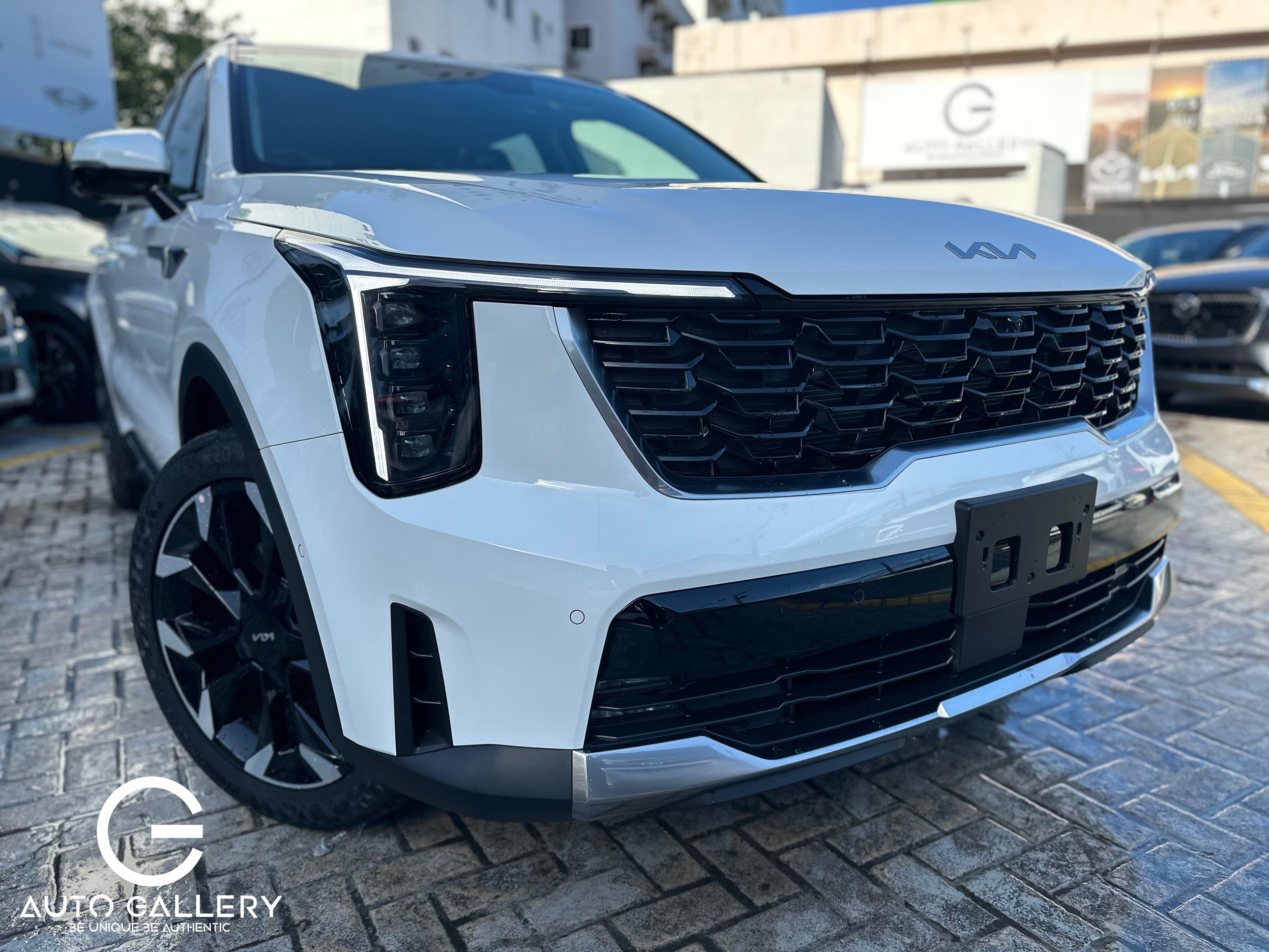 jeepetas y camionetas - KIA SORENTO LUXURY 2025 9