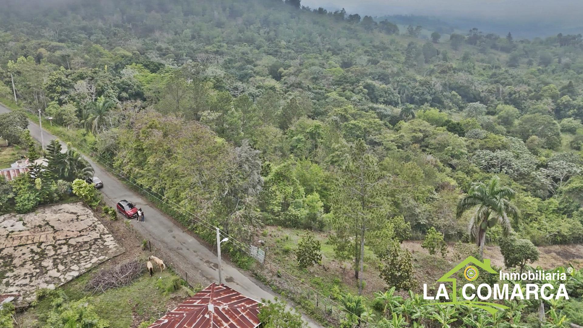 solares y terrenos - Terreno en Venta en Cercado Alto, La Vega, Republica Dominicana 3