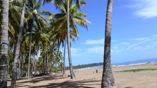 casas - Villa ( casa) en  la playa en nagua. República Dominicana.titulo. 4