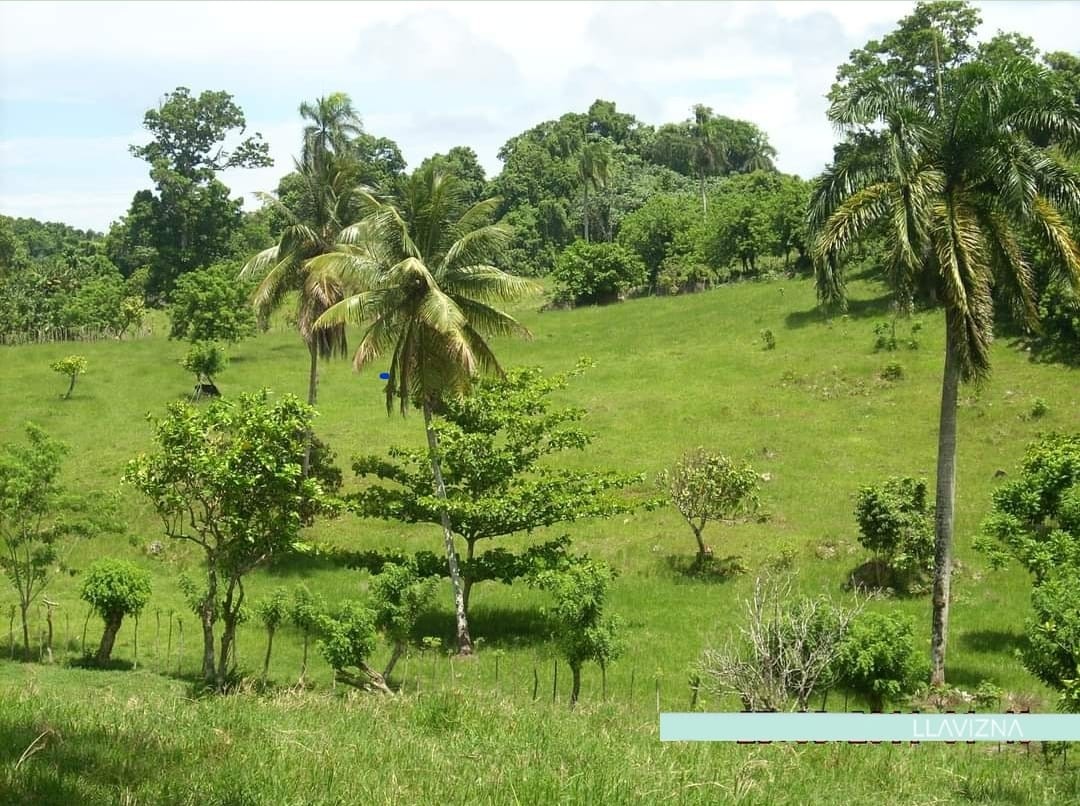 solares y terrenos - 152 tareas de tierra en Cabrera, Maria Trinidad Sanchez, Republica Dominicana. 5