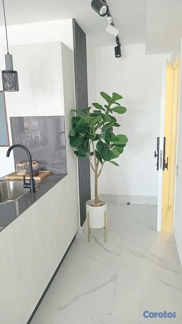 apartamentos - Apartamento de Lujo Amueblado en Evaristo Morales | Piscina, Gym y 2 Parqueos 2