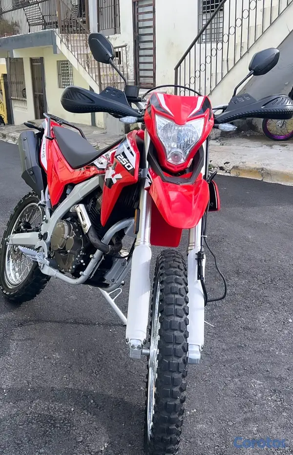 motores y pasolas - Loncin nuevo sin defecto  2