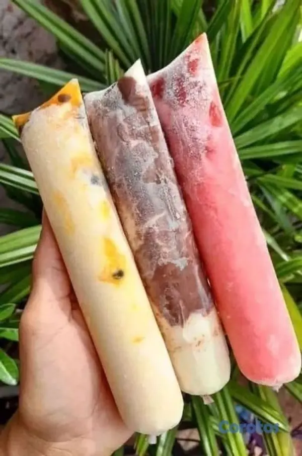 cocina - helados naturales  2