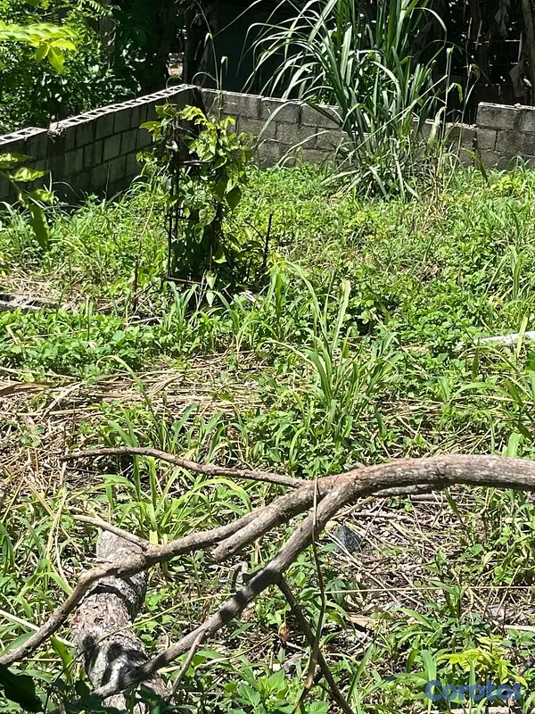 solares y terrenos - solar en venta en villa mella  2