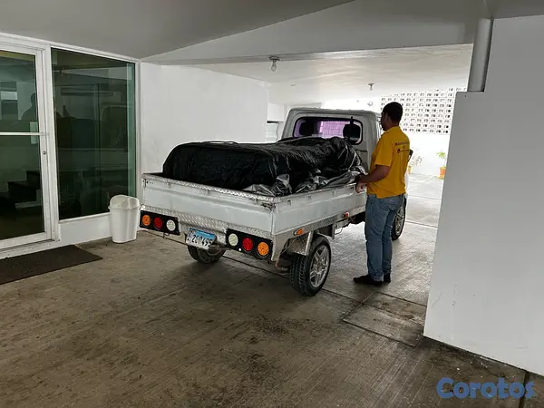 servicios profesionales - mudanza y acarreo Santo Domingo  2
