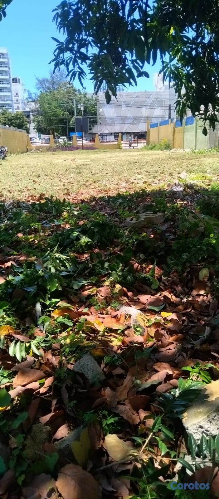 solares y terrenos - Venta de Terreno en la 27 de Febrero 2