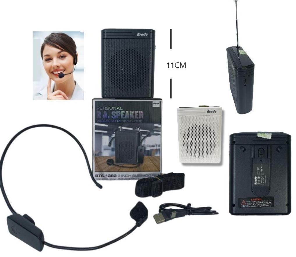camaras y audio - Bocina + Microfono BTS-1383 parlante para charlas, maestros, panelitas, spekears 1