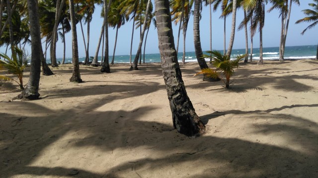 casas - Villa ( casa) en  la playa en nagua. República Dominicana.titulo. 8