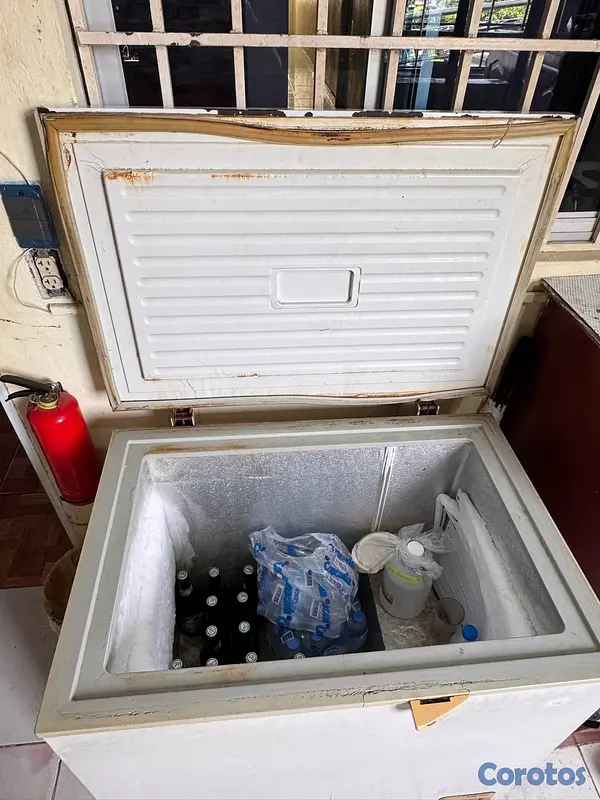 electrodomesticos - vendo frizze  2