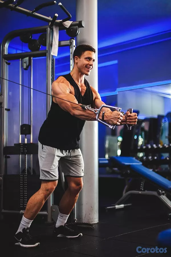 equipos profesionales - ventas de equipos de gym completo 2