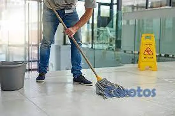 servicios profesionales - SOLICITE EL SERVICIO DE LIMPIEZA PARA SU EMPRESA. 2