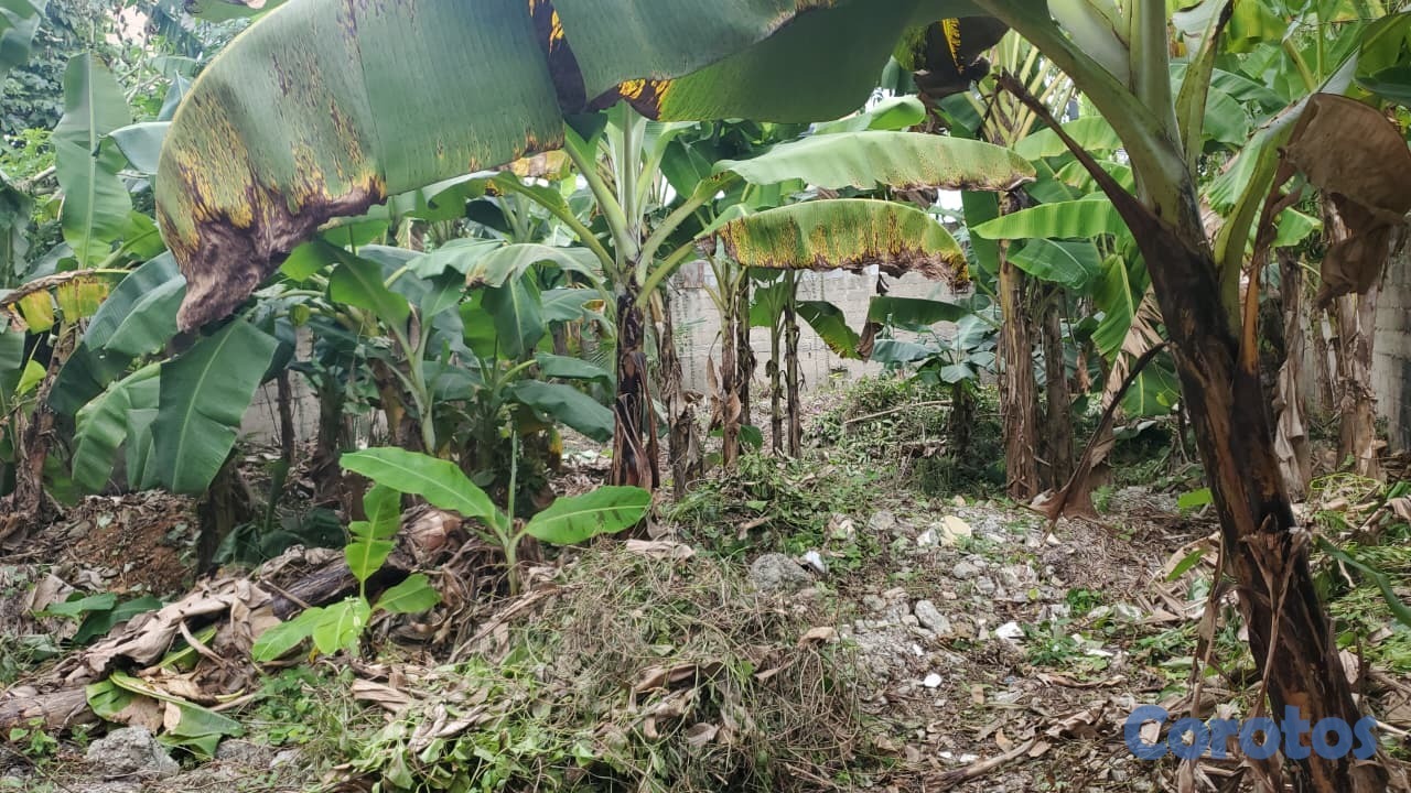 solares y terrenos - Oportunidad única: solar con título en Mirador del 6