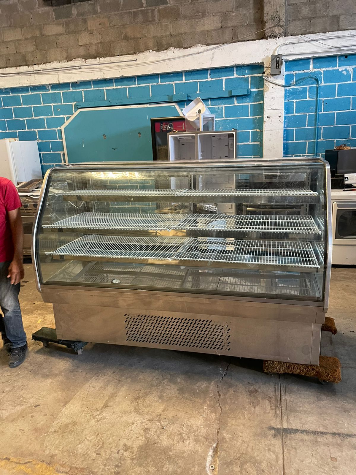equipos profesionales - Vitrina curva de temperatura 6 pies y medio