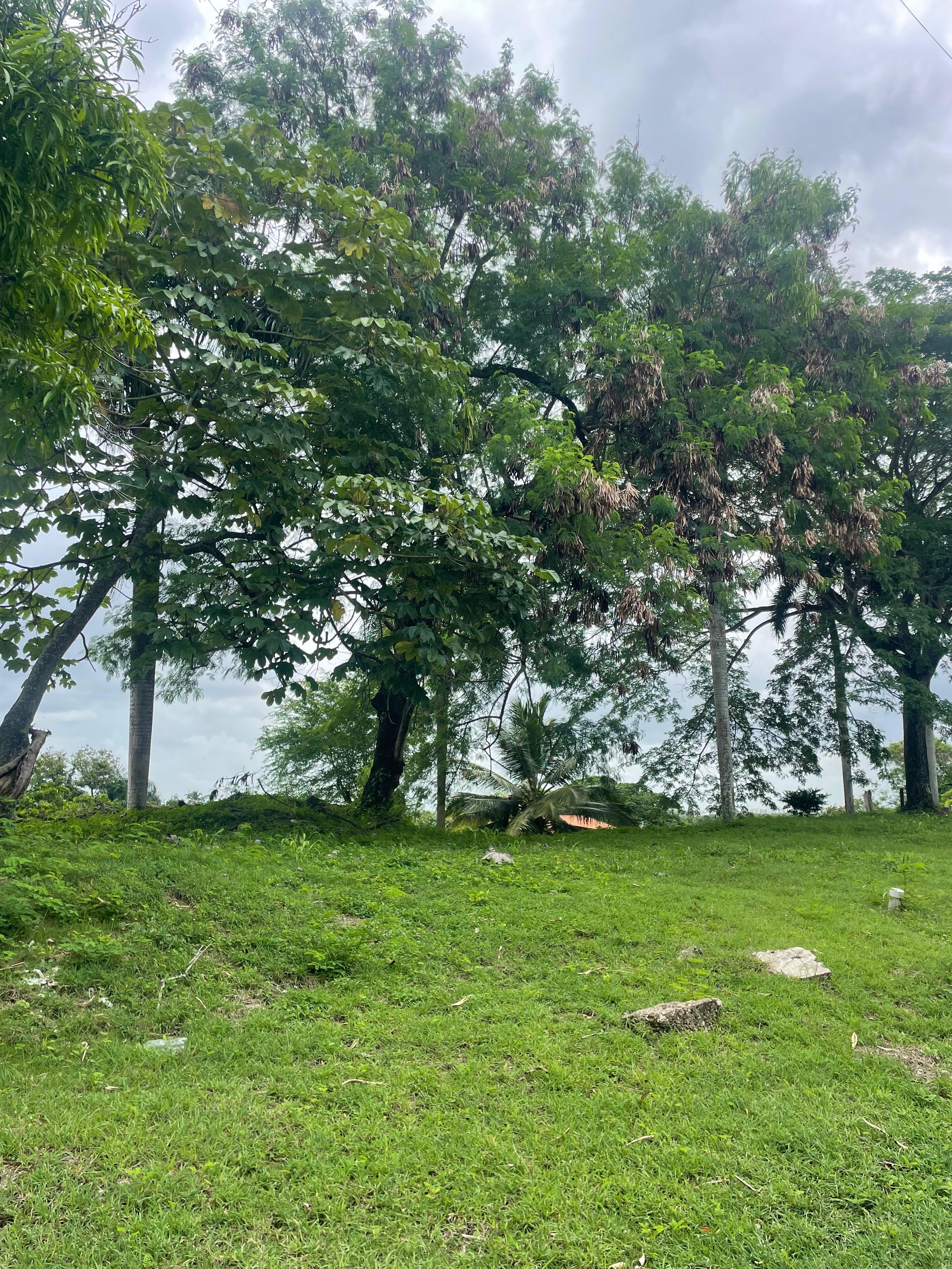 solares y terrenos - VENDO SOLAR EN ARROYO MANZANO , D.N. 2