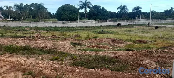 solares y terrenos - Se Vende Terreno en San Cristóbal  6