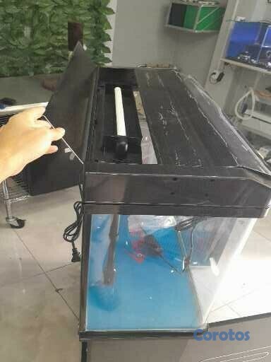 animales y mascotas - ACUARIOS, PECERAS IMPORTADOS CON MUEBLE. 1