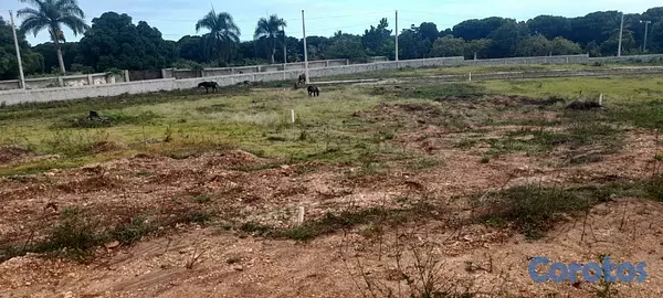 solares y terrenos - Se Vende Terreno en San Cristóbal  7