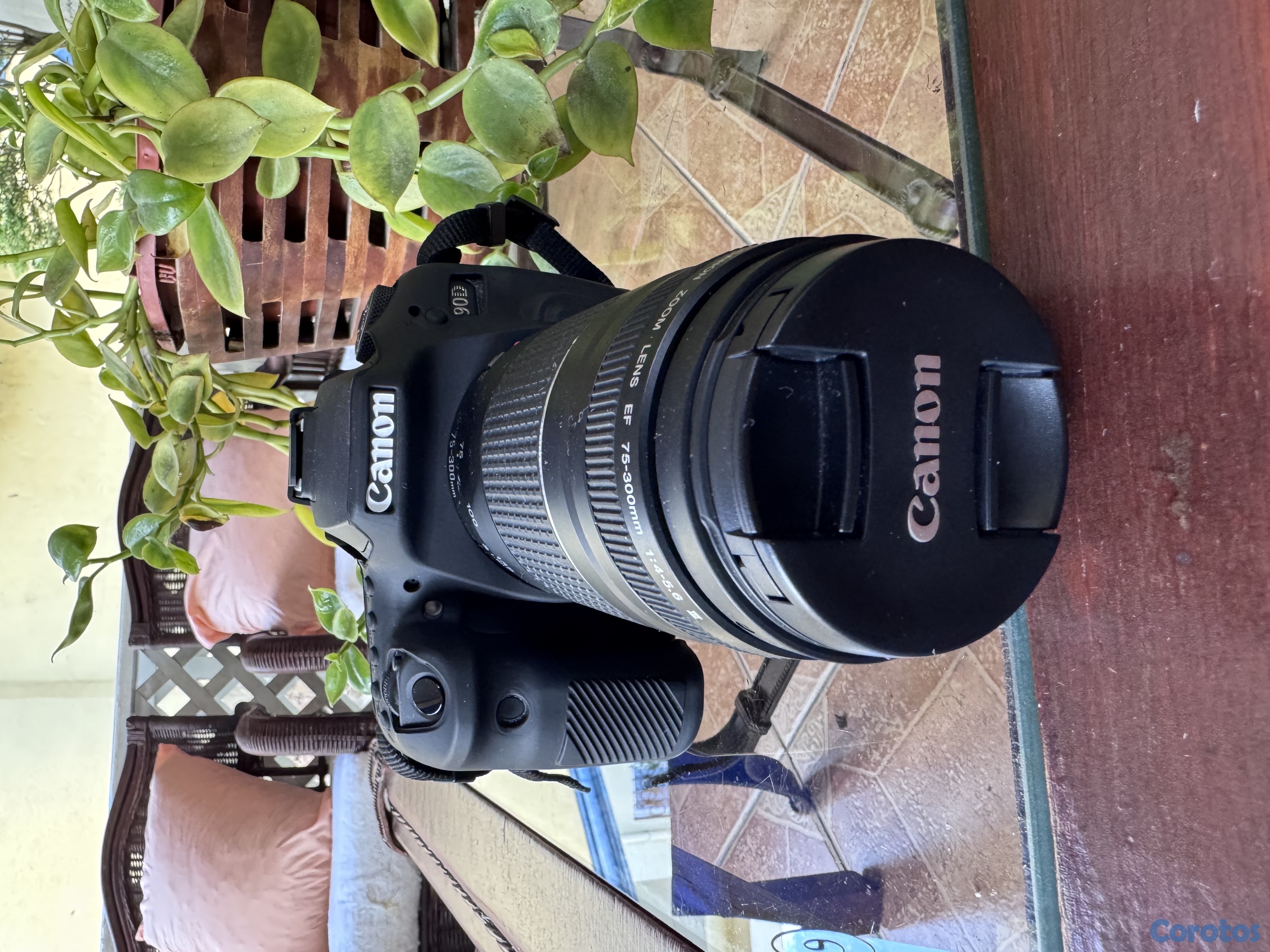 camaras y audio - Camara Canon EOS 90D 1