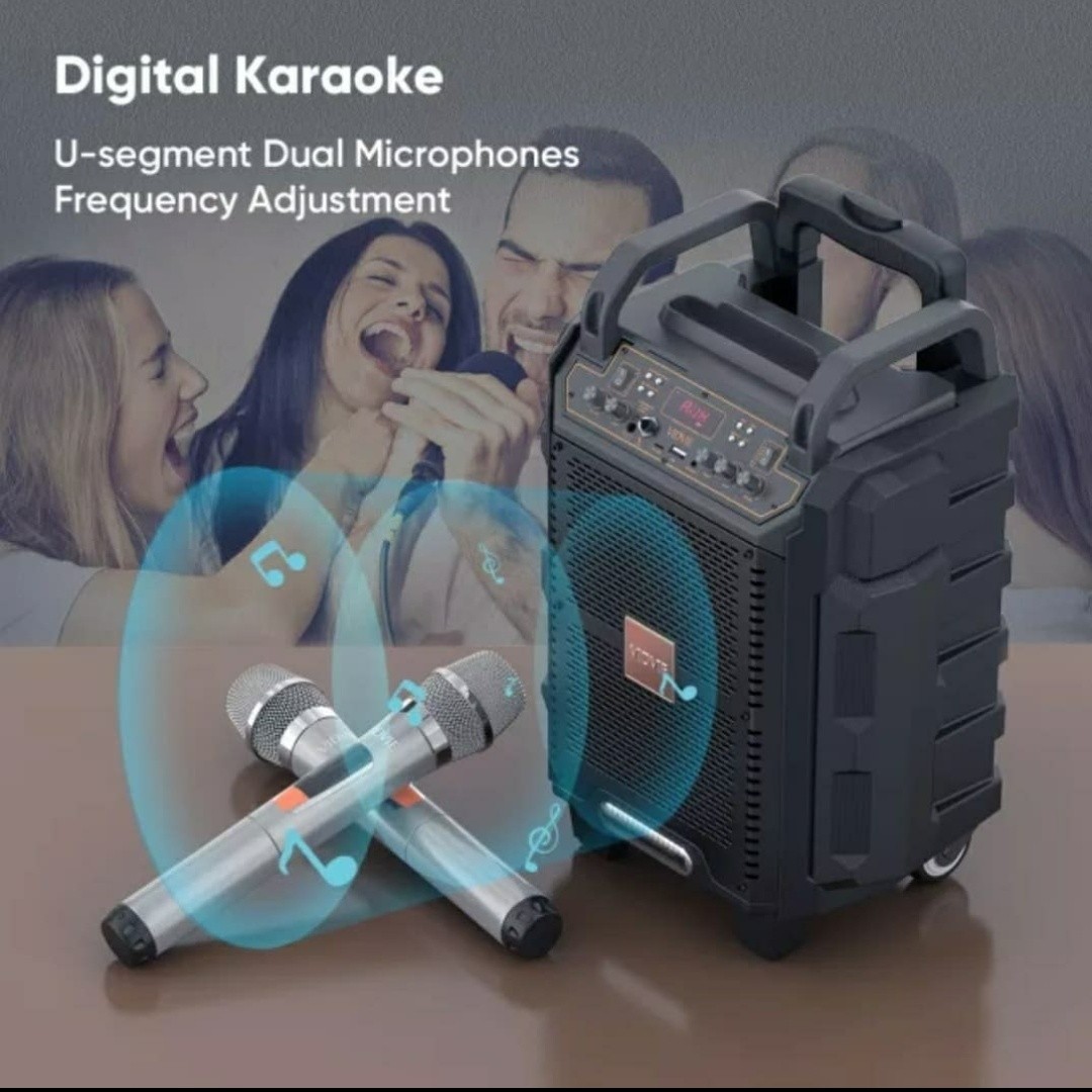 camaras y audio - Parlante bocina VIDVIE con micrófono Kareoke 5