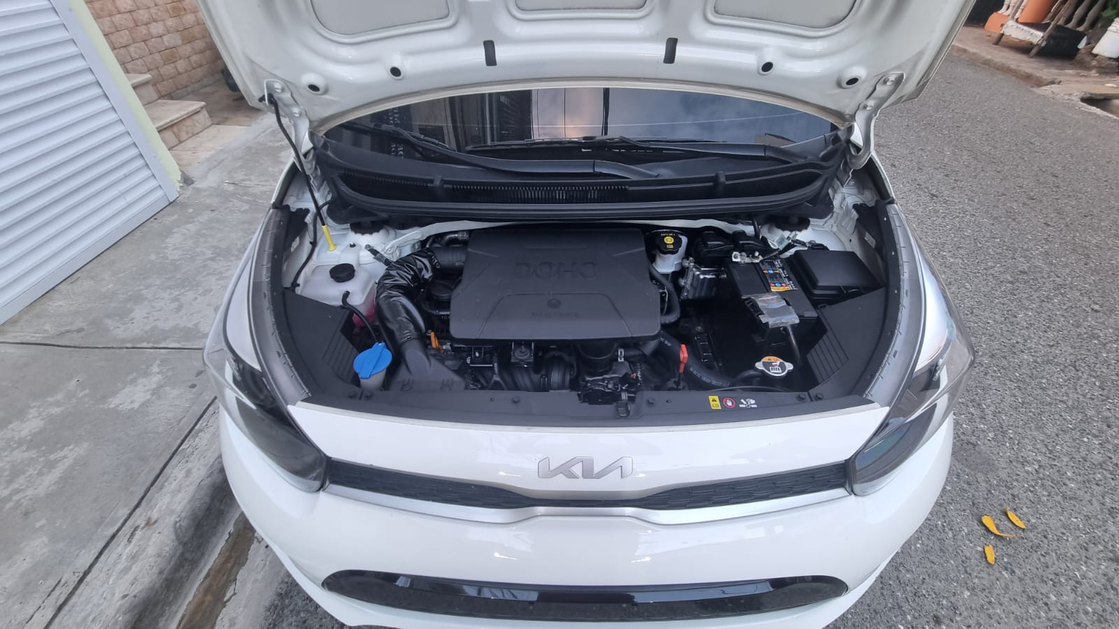 carros - Kia picanto 2024 5