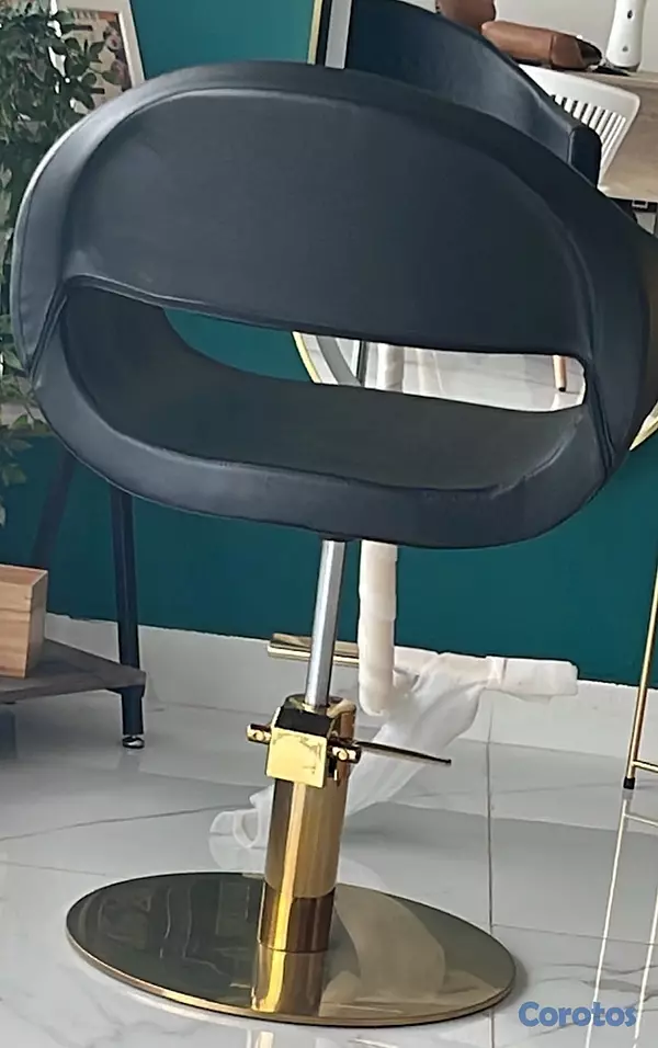 negocios en venta - ventas de equipos de salón 5