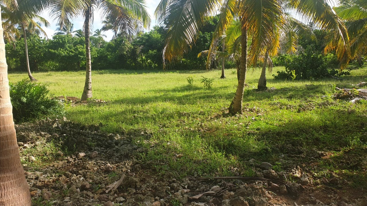solares y terrenos - Terreno de venta en Las Talanqueras  de Samaná a 10 Min de Las Galeras 23 Rincón 5