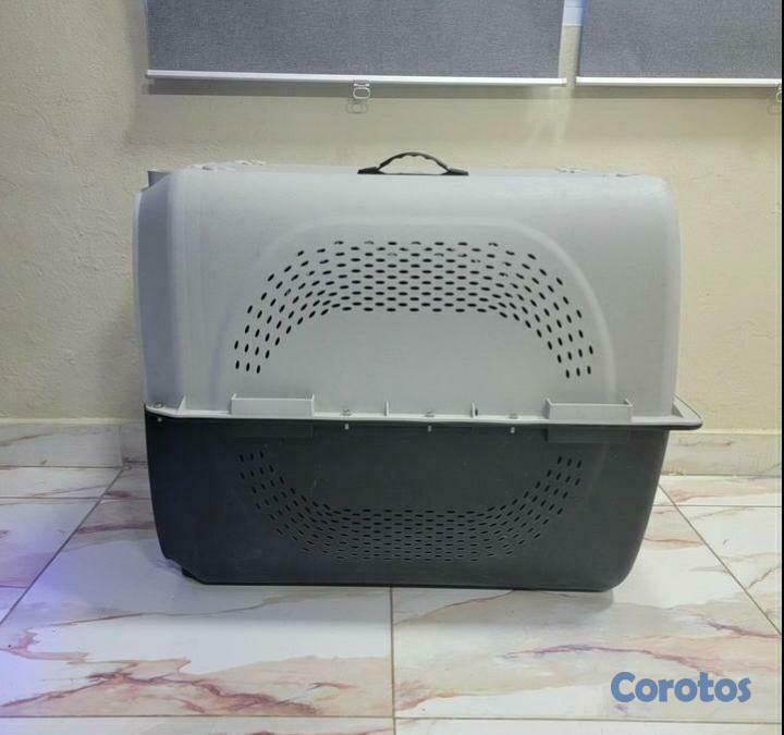animales y mascotas - TRANSPORTADOR JAULA PARA PERROS 5