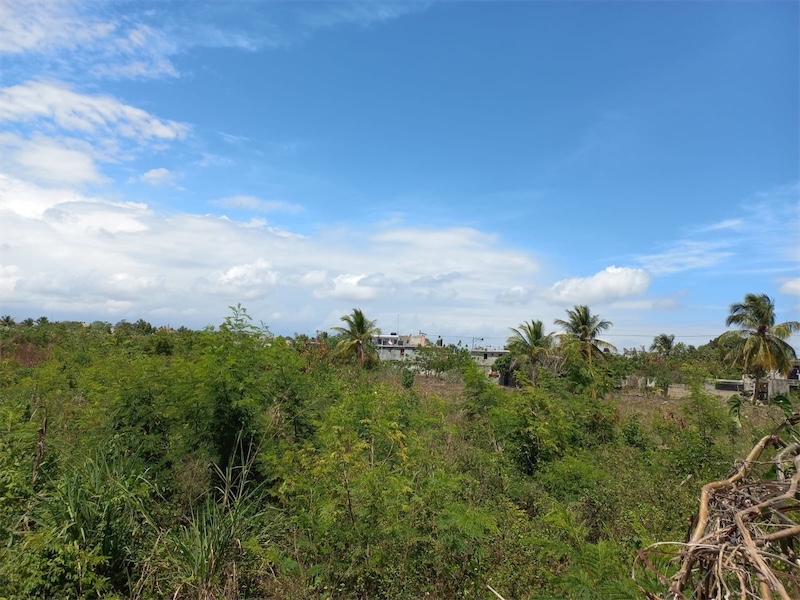 solares y terrenos - Venta de terreno de 48,766 en la marginal de las Américas a 3000 pesos por metro 2