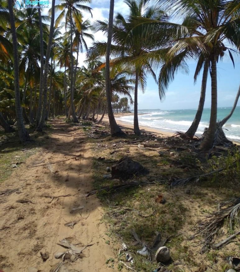 solares y terrenos - Vendo terreno en miche playa el Limón 
3 porción una de 1,371,000 con 1 km. 
 7