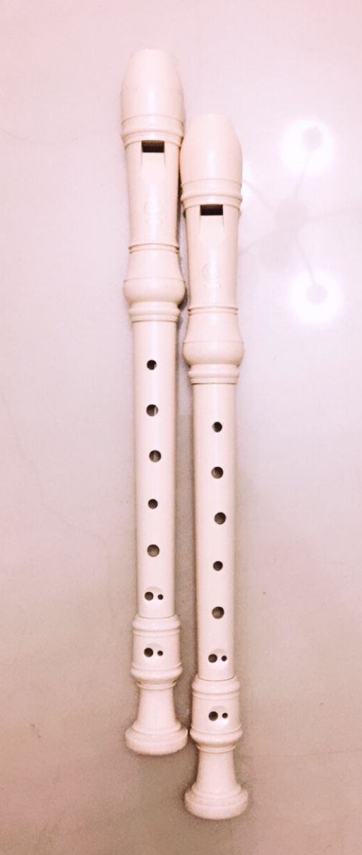 instrumentos musicales - Flautas escolares Paquete            $370 c/u