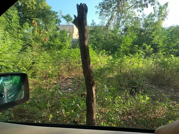 solares y terrenos - Terreno en venta en el sector Urbanización Los Jardines,  Boca chica, Santo Domi 2